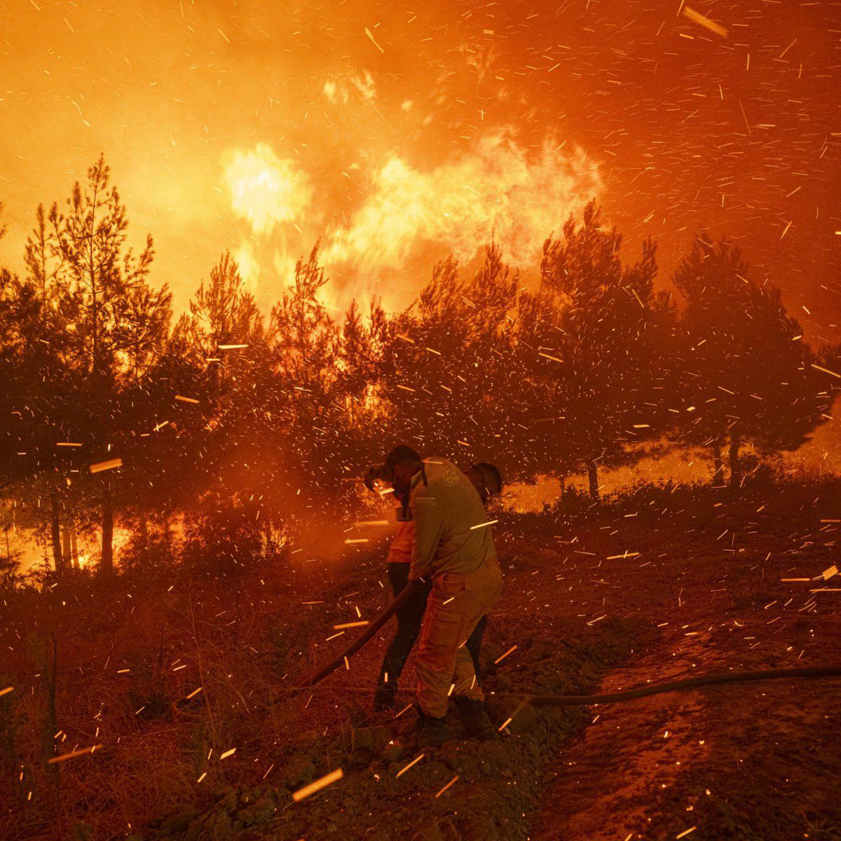 Büyük ölçüde kontrol altına alınanlar:

📍 Bolu / Mudurnu
📍 Kahramanmaraş / Göksun
📍 Çanakkale / Ayvacık
📍 İzmir / Dikili

Devam edenler:

📍 Manisa / Somdü
📍 Çanakkale / Merkez

#TürkiyeYanıyor