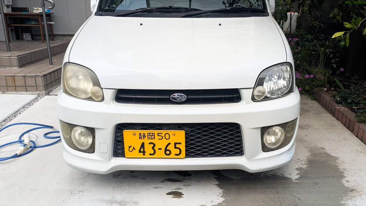 プレりんの目が澱んでいるので磨く。ええやん。