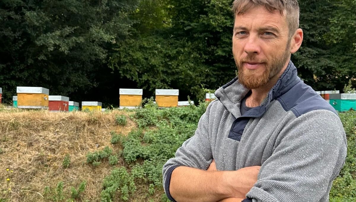 "Les années ne se ressemblent pas" : après une saison noire, les ruches de Bourg-d’Hem retrouvent des forces
➡️ l.ici.fr/BUt