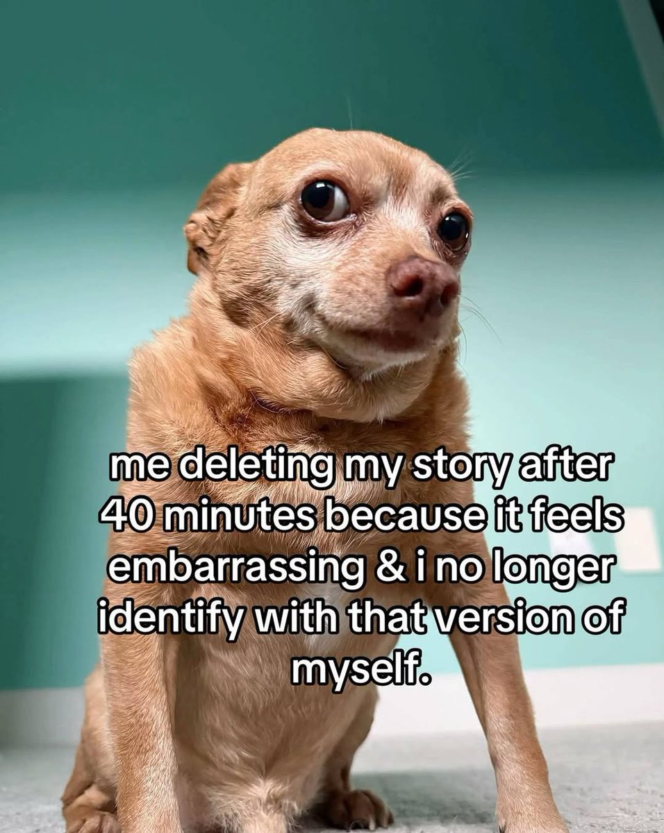 muezza (@runtuhq) on Twitter photo 