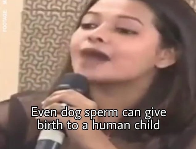 Did you notice the correlation between feminist and dog lovers ? This reminds me 👇