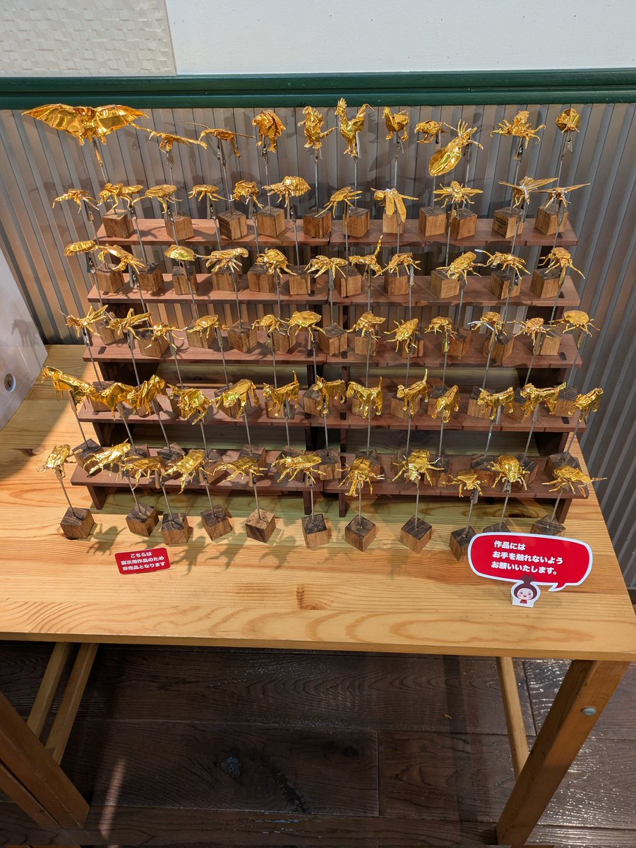 虫太郎さんの展示見てきた
スゴいの一言だった