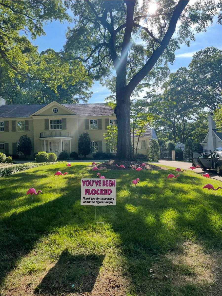 Help support the girls nationals trip to Salt Lake City. Send a flock to neighbors, friends, or relatives. Flamingo flocking insurance also available. Forms and donation info can be found in the pictures. Forms can be emailed, or filled out at: docs.google.com/forms/d/e/1FAI…