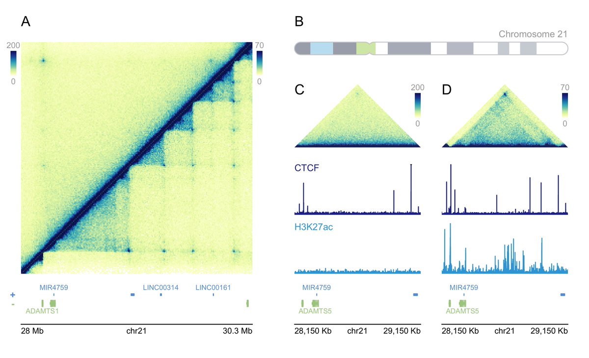 Two tools for plotting genomics data:

figeno: Tool for making genomics figures in #python.
github.com/CompEpigen/fig…

Plotting Multi-omic Data with plotgardener in #rstats
phanstiellab.github.io/plotgardener/i…