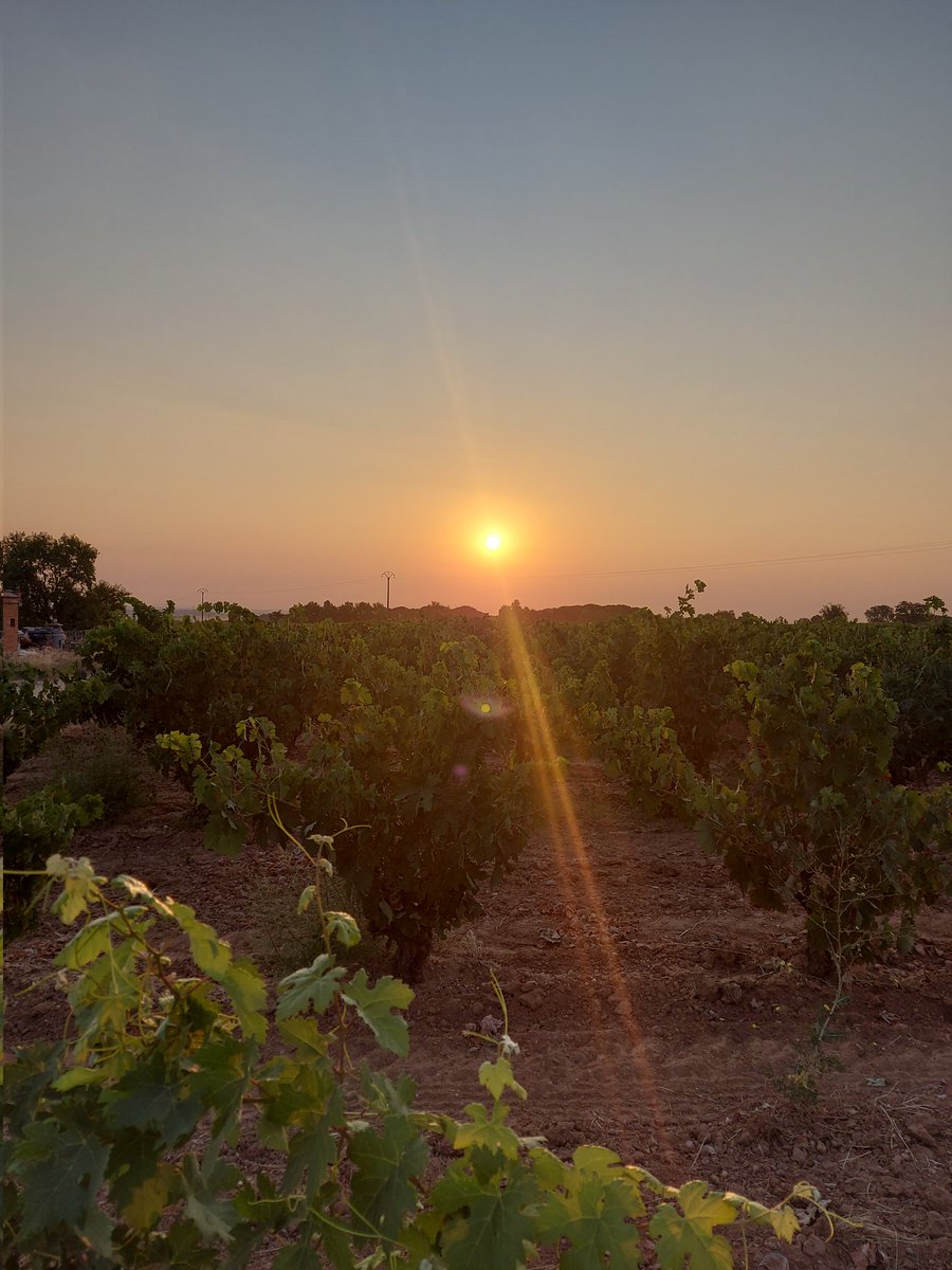 Descubre <a href="/RutaVinoRibera/">RutaVino RiberaDuero 🍇</a> <a href="/DORibera/">Ribera Del Duero</a> #oferta del 15-20 de agosto x anulación de reserva #FiestasPopulares2025