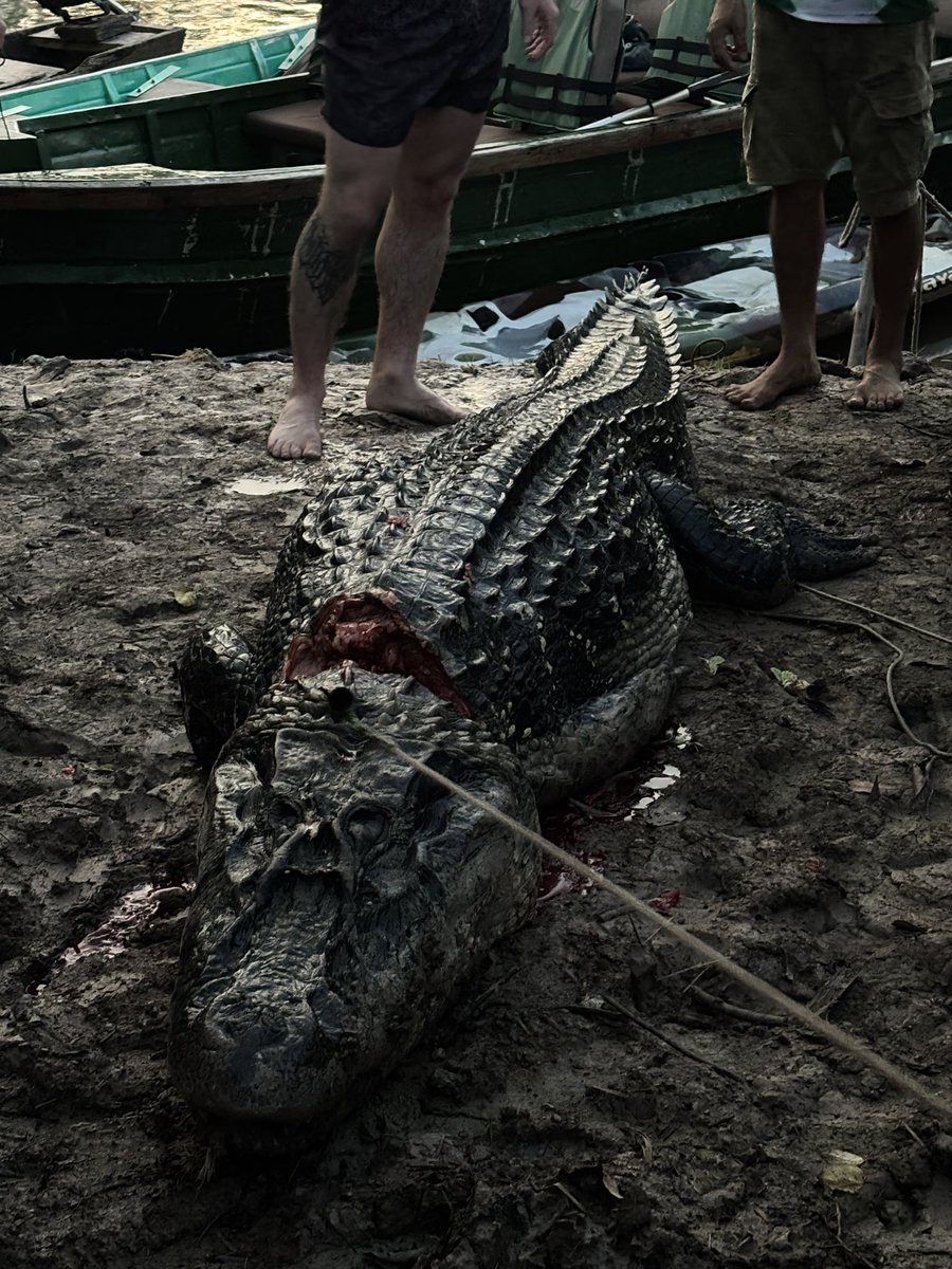 regierocket69's tweet image. Still upset Florida won the chip this year with that sorry ass team. Had to go put boots on the ground and get some work done! #killa