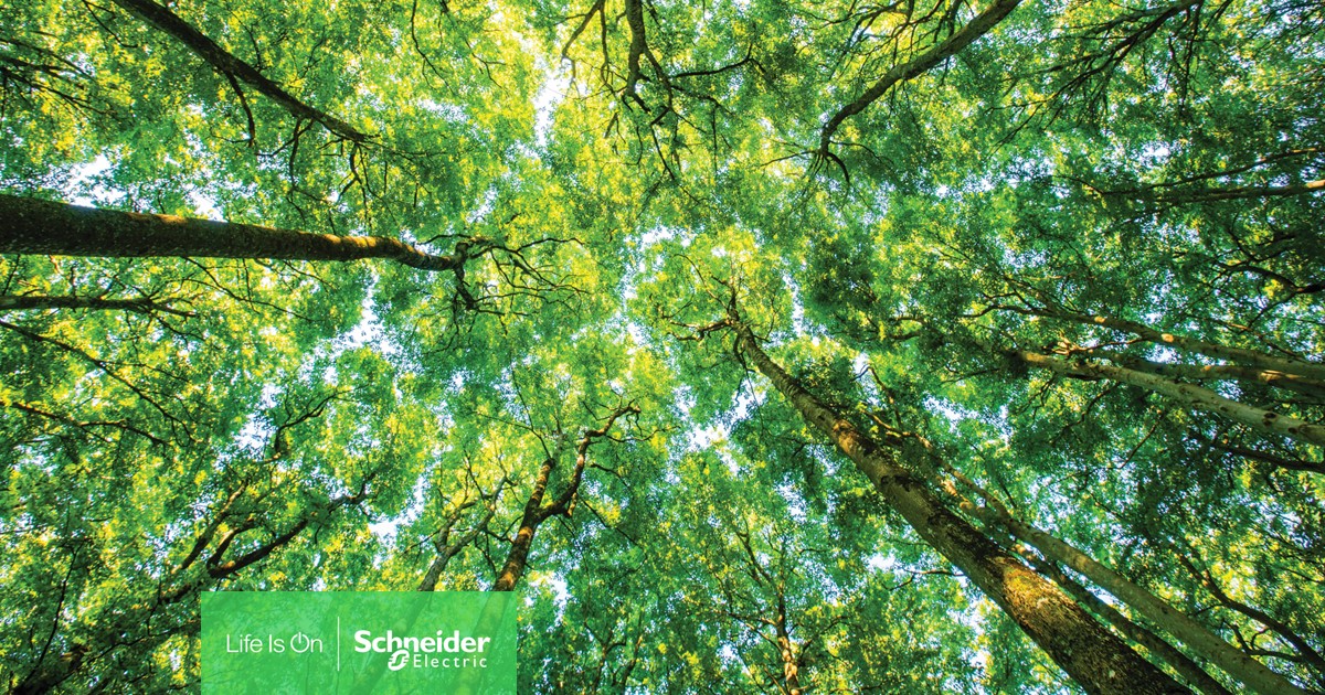🏆 Schneider Electric erneut auf Platz 1 im Gartner® Top 25 Supply Chain Ranking!

Unser Programm "Impact Supply Chain" zeigt Wirkung.

🔗 Mehr erfahren: spr.ly/6017foTXS