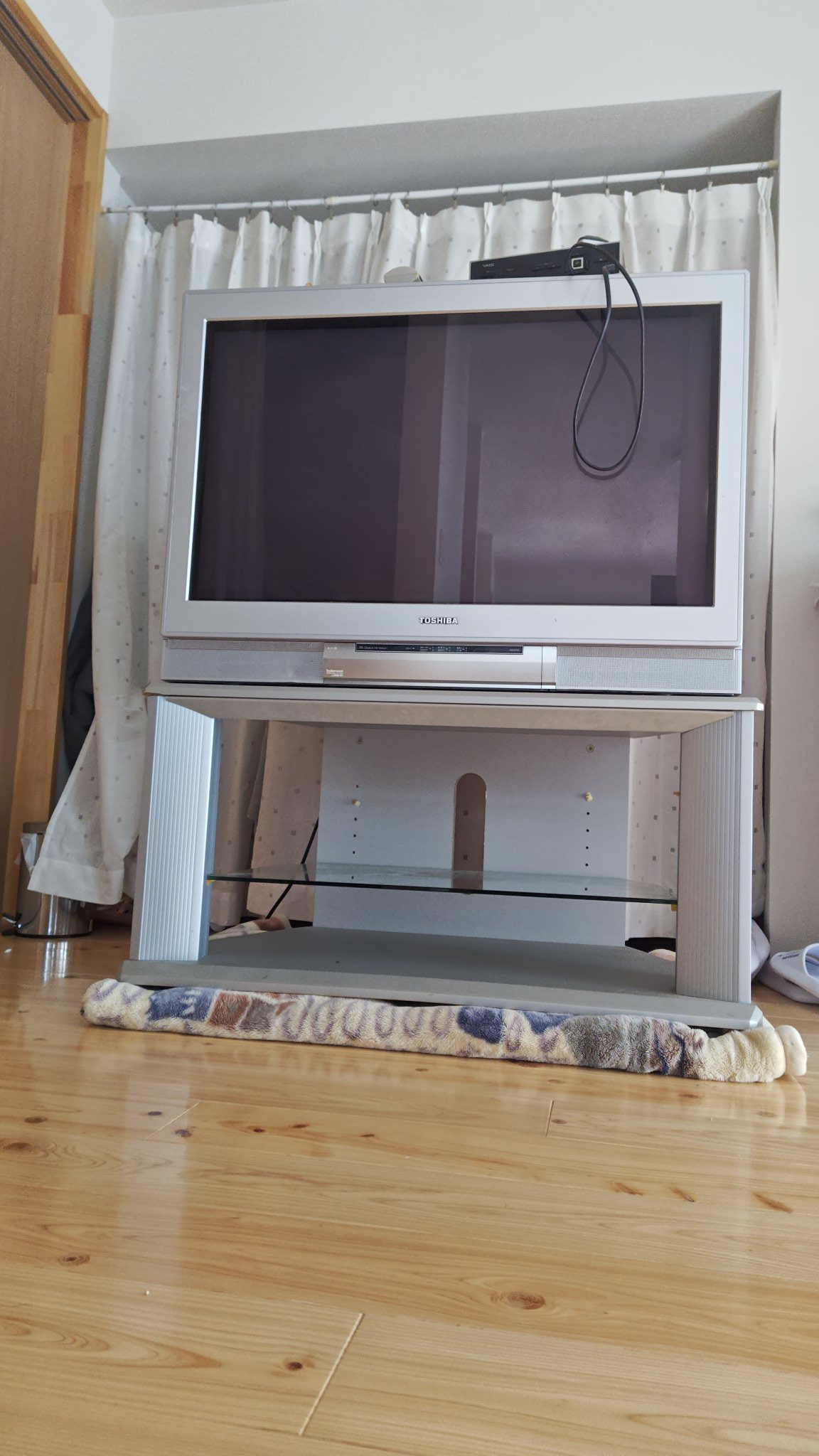ちびっこ先生📺 on X: 