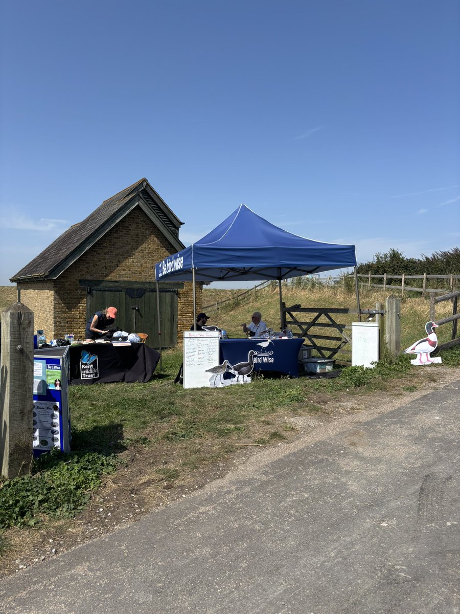 Bird Wise North Kent (@birdwisenk) on Twitter photo It’s a glorious day for our activities and walk at Oare Marshes today with our friends from <a href="/KentWildlife/">Kent Wildlife Trust</a> 😎🦆🌞🐓🦢 It’s a glorious day for our activities and walk at Oare Marshes today with our friends from <a href="/KentWildlife/">Kent Wildlife Trust</a> 😎🦆🌞🐓🦢