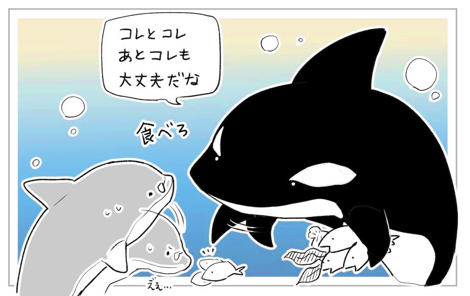 irodori_kazuki's tweet photo. おかん化したシャチ https://t.co/TVVtSwijtd