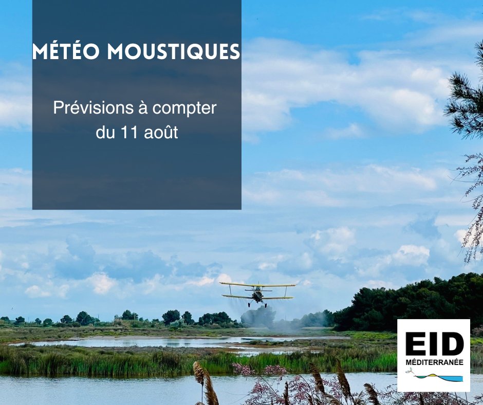 🦟Météo #moustiques ruraux  
Prévisions à compter du 11 août en <a href="/Occitanie/">Région Occitanie</a>
par département eid-med.org/bul-operationn…
Pas de risque de nuisance liée aux moustiques issus des zones humides cette semaine.
📍#Aude
📍 <a href="/departement13/">Département des Bouches-du-Rhône</a> 
📍 <a href="/Gard/">Conseil départemental du Gard</a> 
📍 <a href="/Heraultinfos/">Département de l'Hérault</a>  
📍 <a href="/leDepartement66/">Département des Pyrénées-Orientales</a>