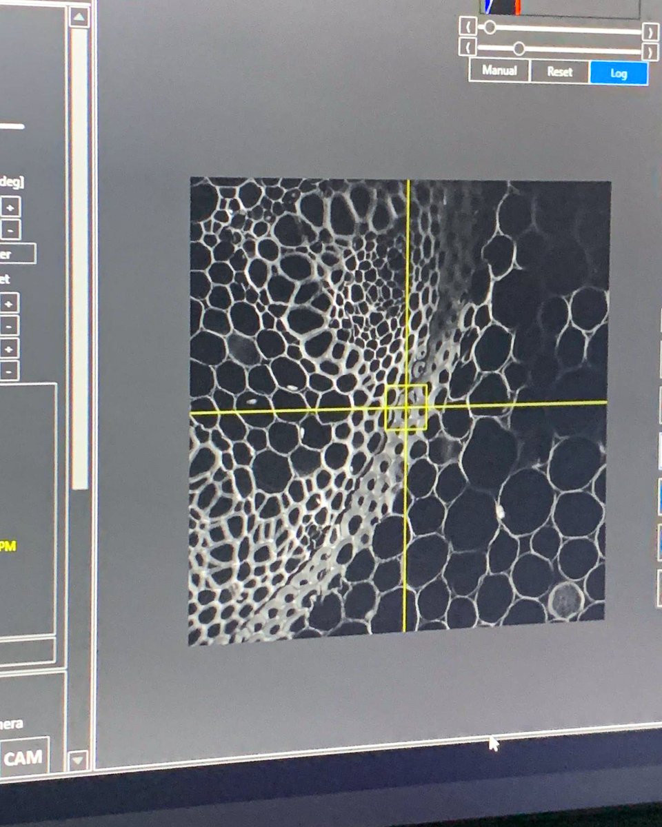 LIGHT_CONVERSION tweet media