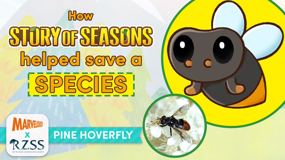 Story of Seasons (@storyofseasons) on Twitter photo How a partnership between STORY OF SEASONS & the Royal Zoological Society of Scotland (<a href="/rzss/">Royal Zoological Society of Scotland</a>) helped save a species!
A perfect example of how gaming can make a real-world difference. 🧡
Watch the documentary: buff.ly/oGAmBwh
With thanks to @jellymedia 🫶 How a partnership between STORY OF SEASONS & the Royal Zoological Society of Scotland (<a href="/rzss/">Royal Zoological Society of Scotland</a>) helped save a species!
A perfect example of how gaming can make a real-world difference. 🧡
Watch the documentary: buff.ly/oGAmBwh
With thanks to @jellymedia 🫶
