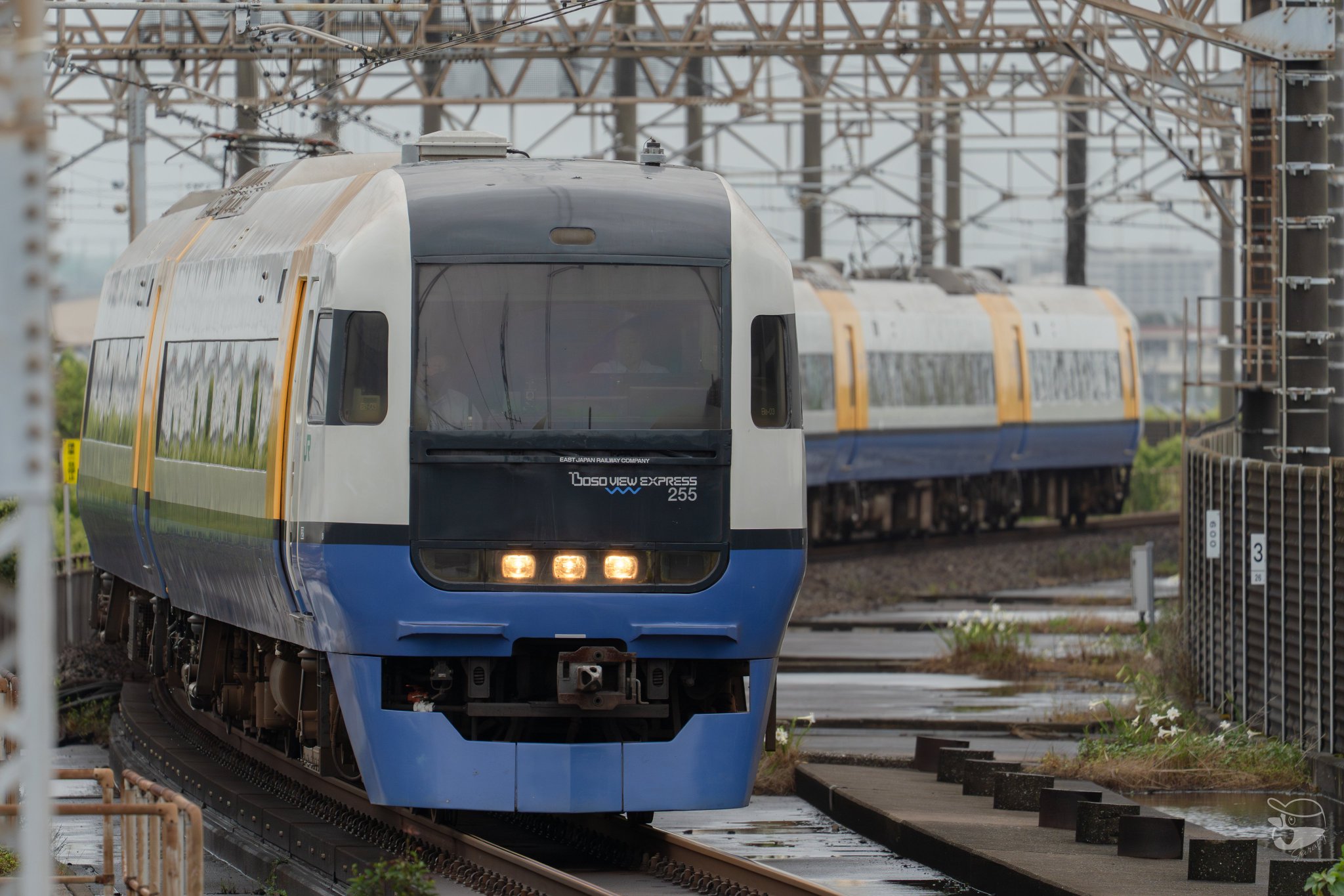 わたがし 2025-01-11撮影｜わたらせ渓谷鐵道 (わ89-313) - 東海道・山陽三