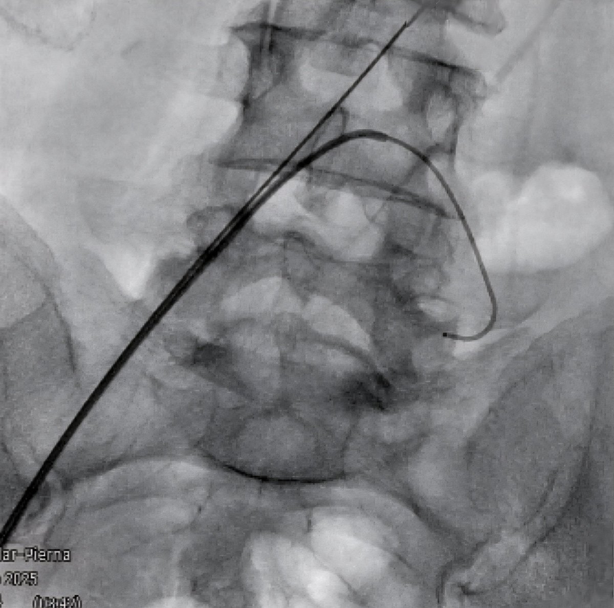 Necio Lizola MD tweet media