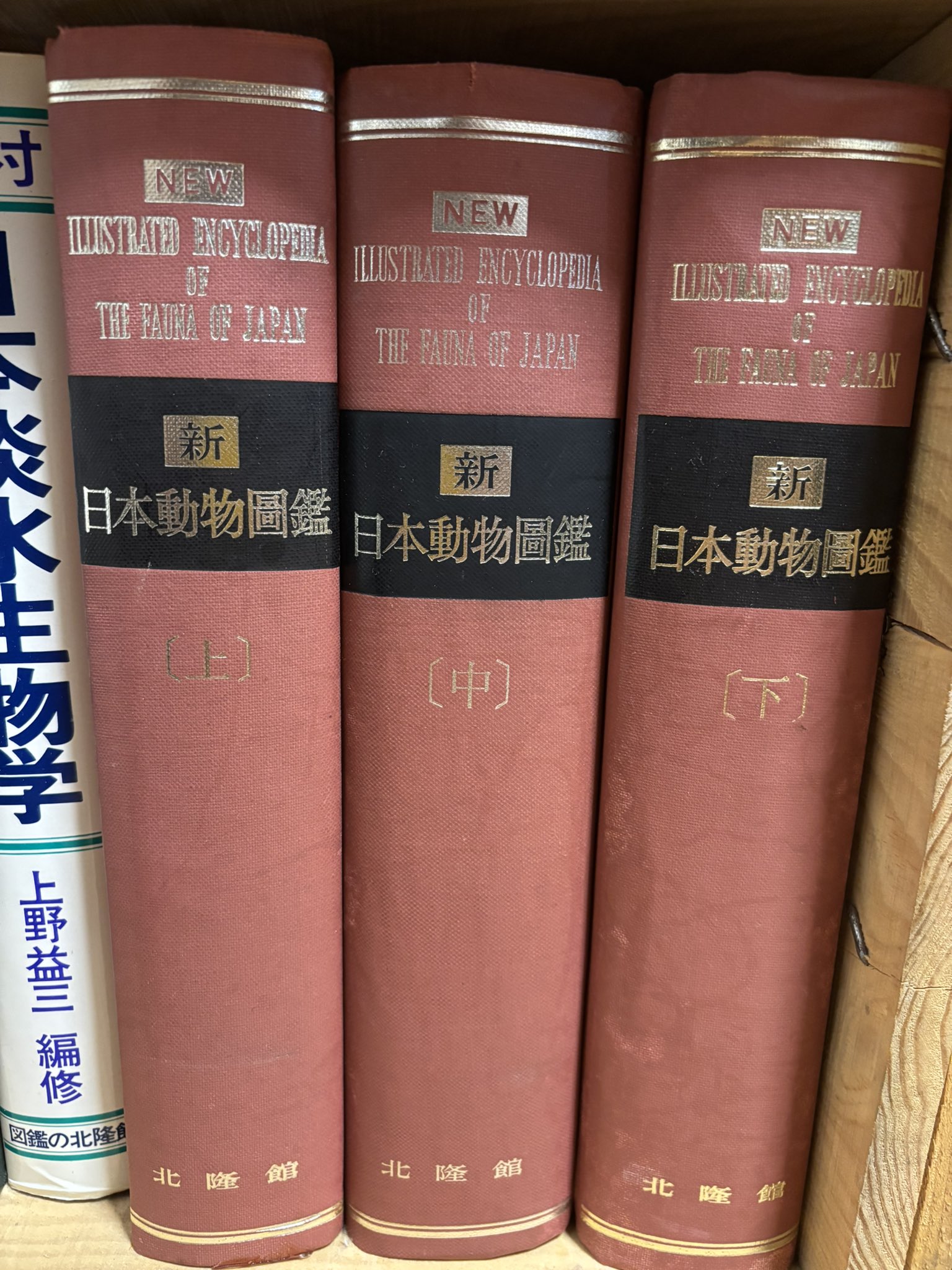 川崎映 on X: 