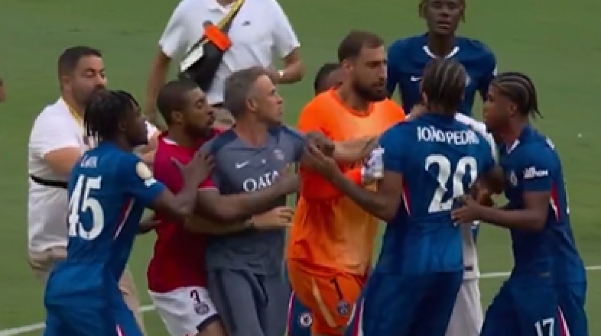 🌵Romy__Czne 🇫🇷🦁 tweet media