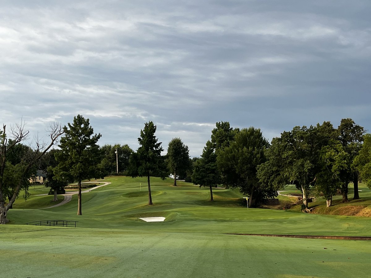 Daniel Mills tweet media