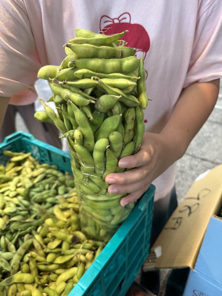 kudamogu's tweet photo. 更にキャンペーン！！！

広島県産「えだまめ」プレゼント企画🎉

ビールのお供に最高の相棒！
枝豆1kg

抽選で５名様にプレゼントします✨

応募方法
1️⃣@kudamogu をフォロー
2️⃣この投稿をリポスト
〆切👉2025/8/18 https://t.co/JhKfQ93BGr