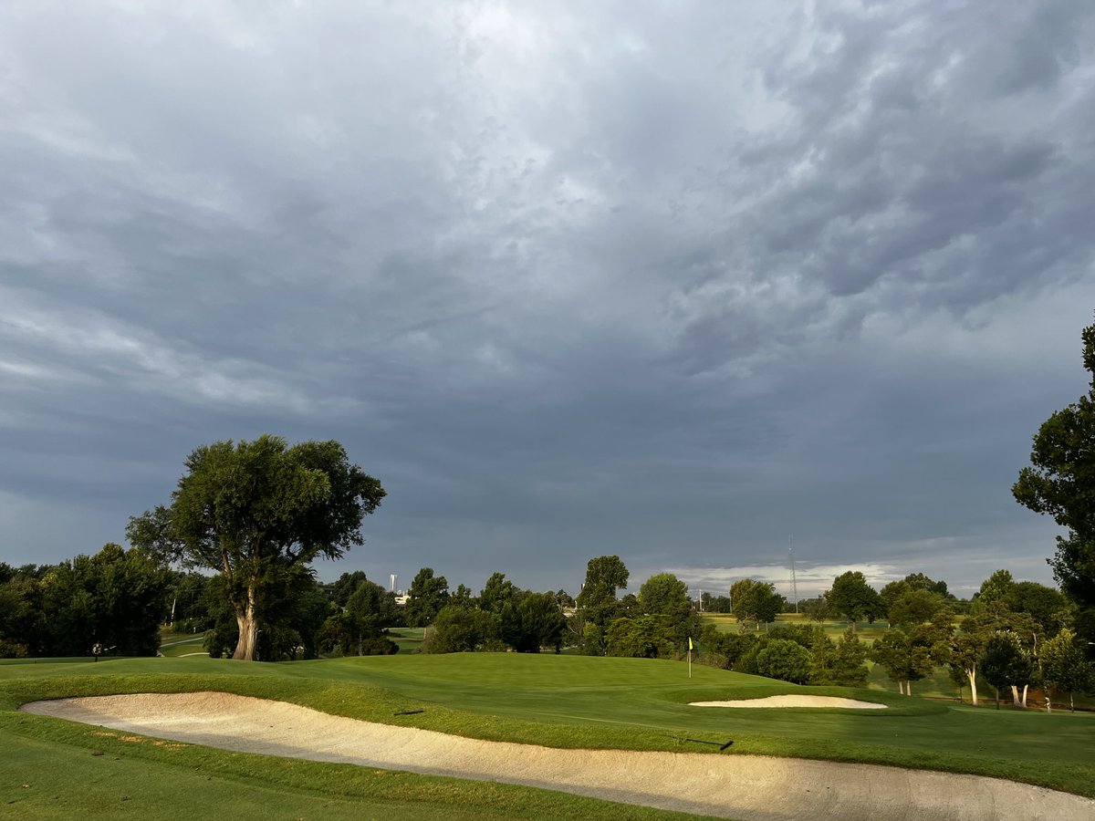 Daniel Mills tweet media