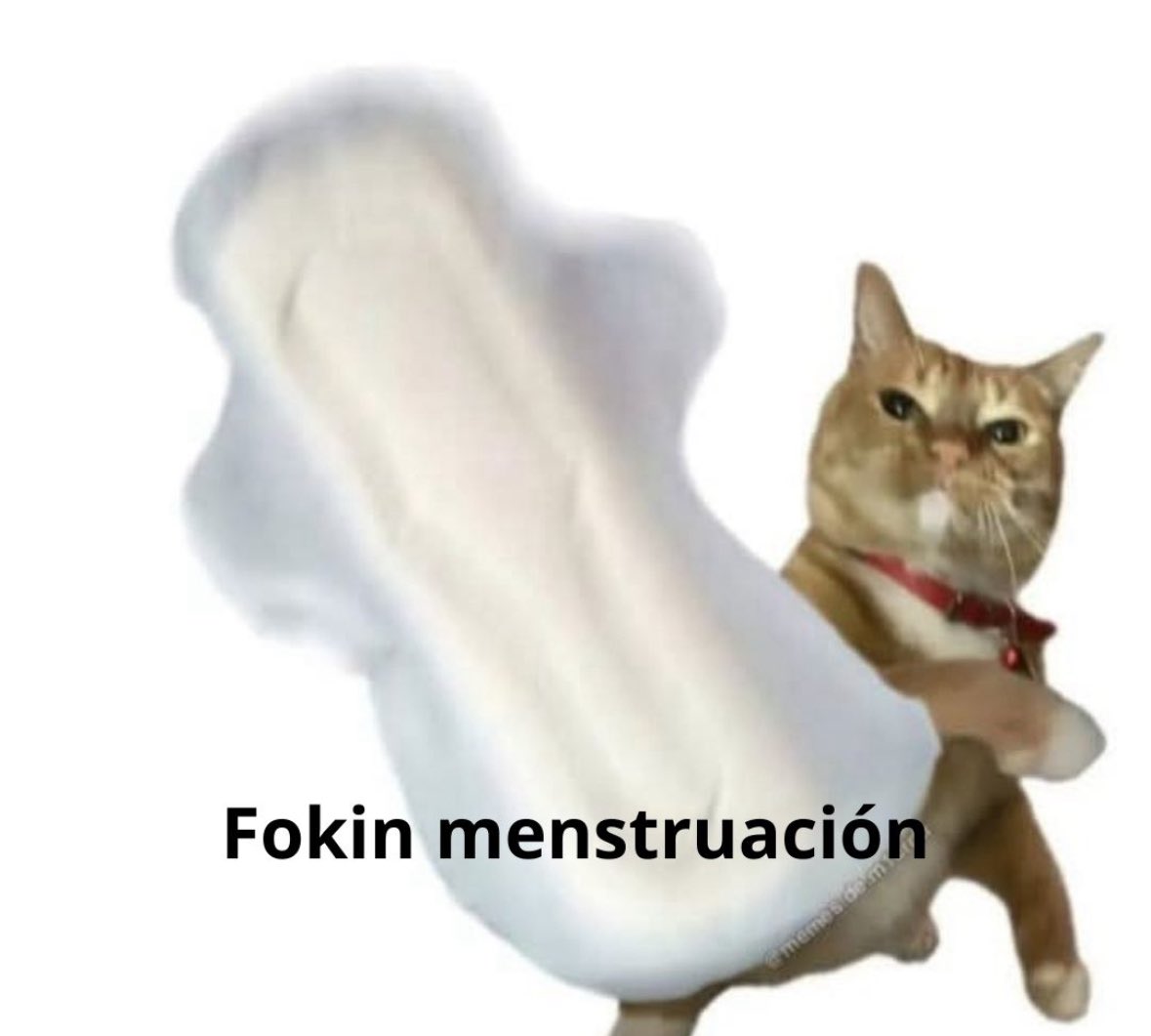 unhingedchipmunk (@amanyayayayayay) on Twitter photo 