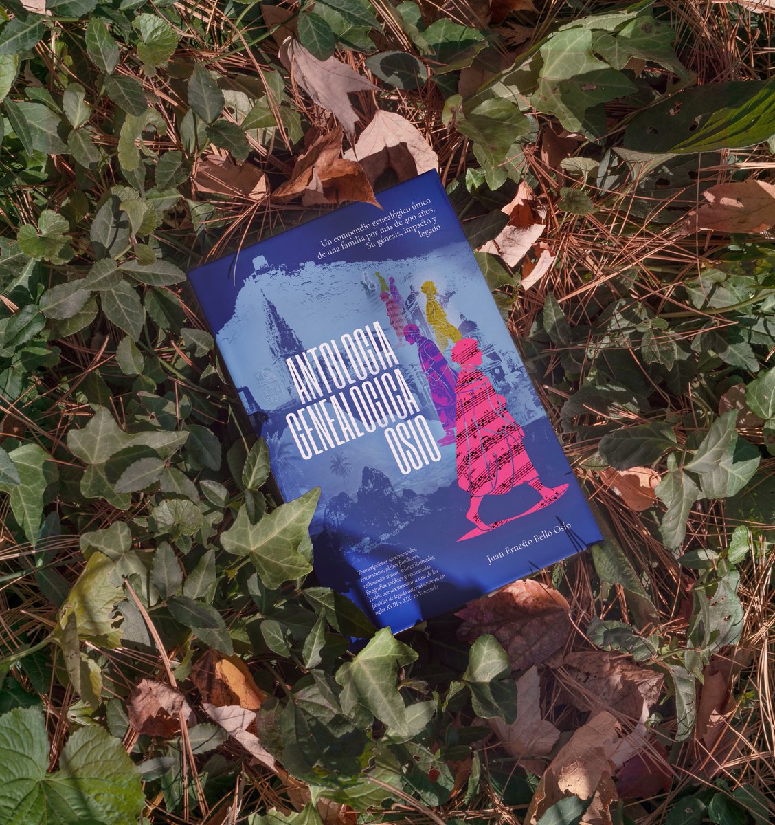 Juan E. Bello Osío tweet media