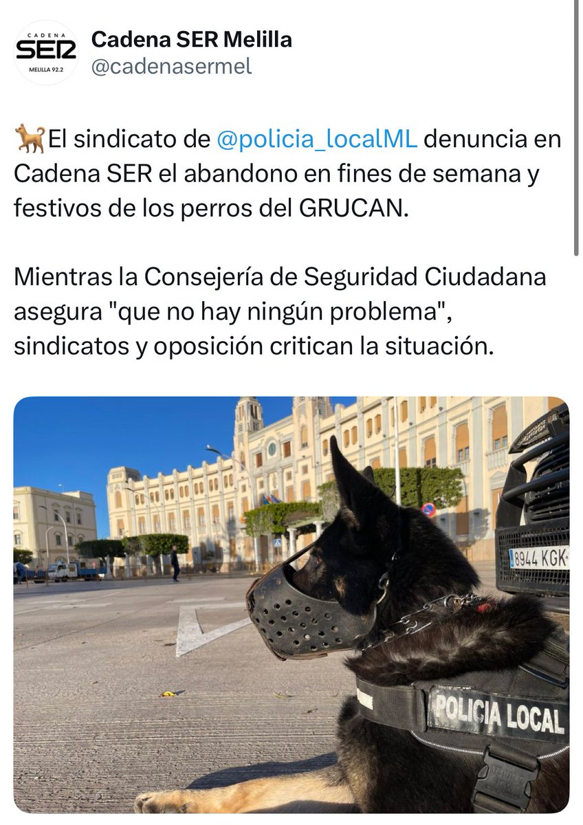El abandono de los perros del GRUCAN en fines de semana y festivos lo han denunciado los propios agentes y sindicatos. Negarlo evidencia, no solo el continuo engaño a la ciudadanía, sino vivir ajeno a la realidad. 

Queda claro quién informa y quién quiere ocultar la verdad.🐕⚠️