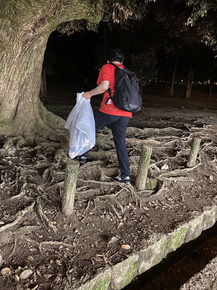 【公式】なら燈花会(とうかえ) tweet media