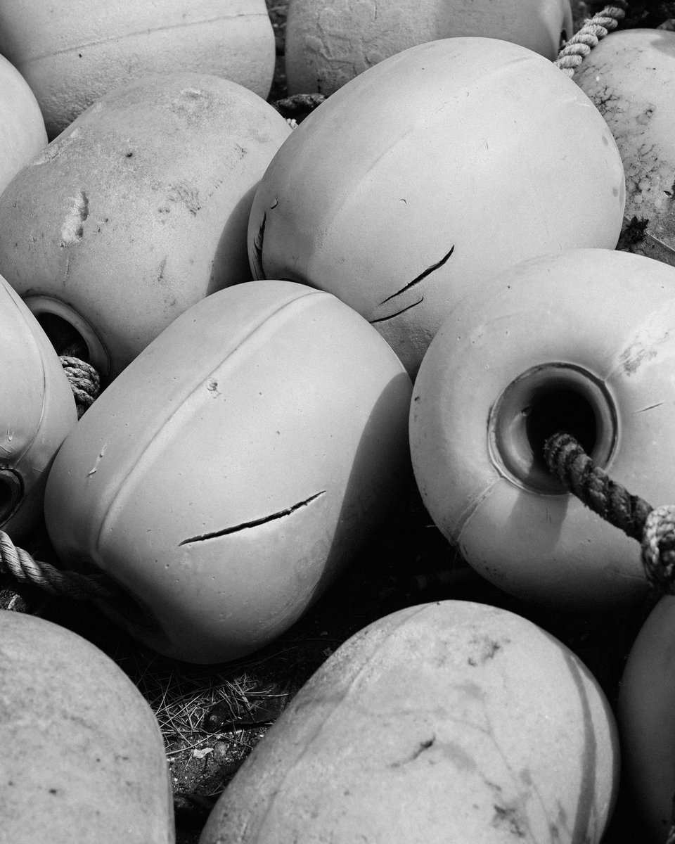 Summer Archive 📸☀️