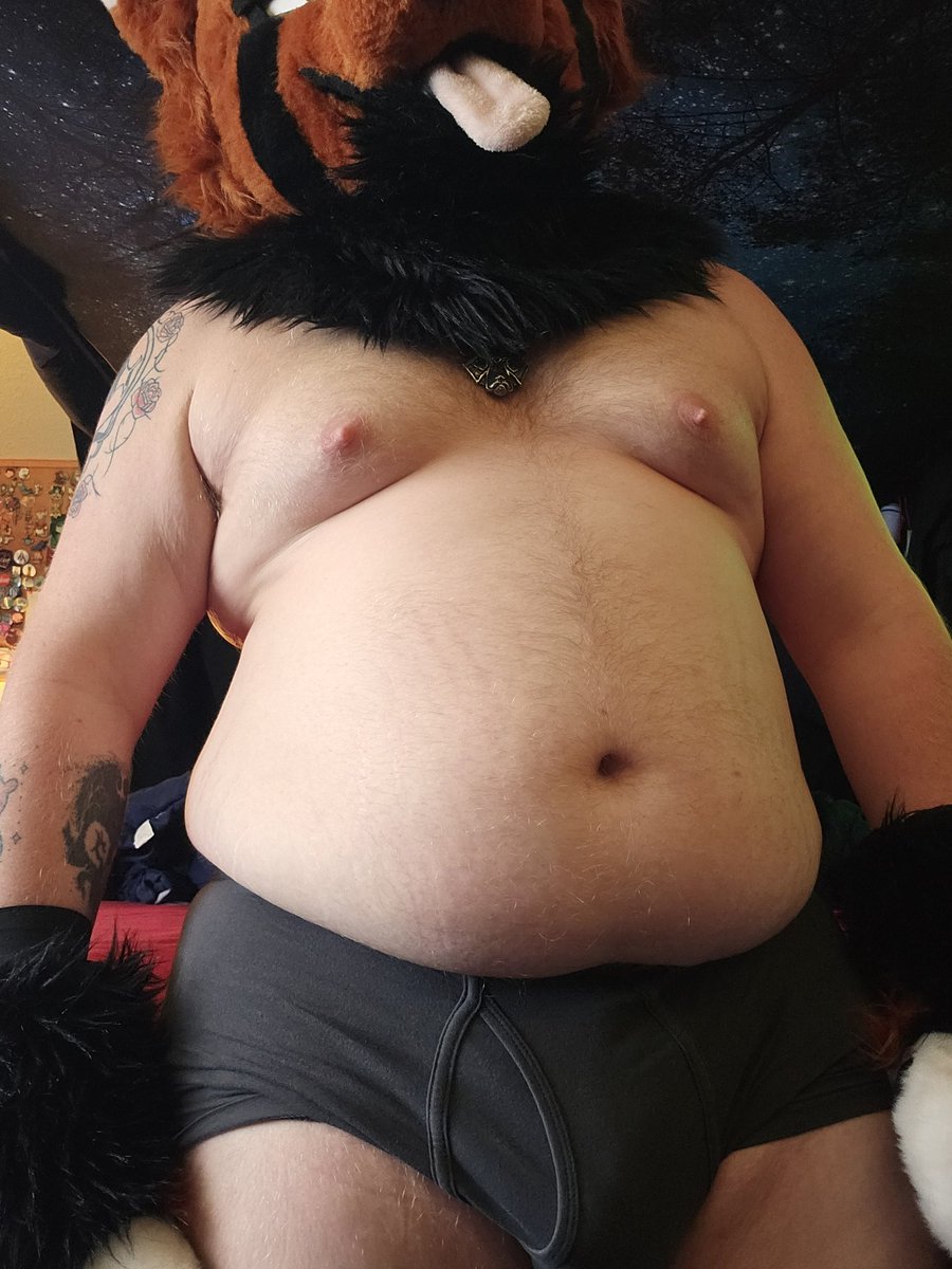 SweetRollFuzz's tweet image. The last #tummytuesday before IFC &amp;gt;w&amp;lt;

I'm so excited. I haven't been to a con in a few years, and I am hype to see more furry faces!

And maybe some furry butts ;3