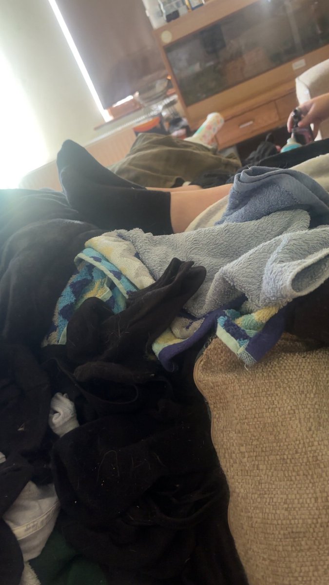 socksofaudi's tweet photo. #socks #girlsocks #hersocks #cutesocks #blacksocks https://t.co/lCaPsZobhE