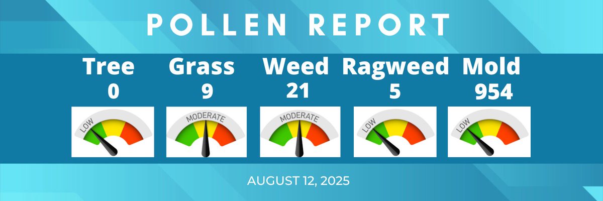 Good morning, #CLE! Here is today's #pollen report.
