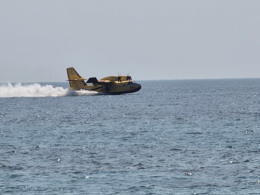 EU in Montenegro 🇪🇺 (@euambme) on Twitter photo 🇭🇷 protivpožarni avion u okviru 🇪🇺 Mehanizma civilne zaštite <a href="/eu_echo/">EU Civil Protection & Humanitarian Aid 🇪🇺</a>, deluje na obali 🇲🇪, dok druge članice 🇪🇺 i susjedne zemlje pružaju pomoć. Ohrabrujuće je videti evropsku solidarnost u ovim tragičnim danima požara i gubitka hrabrih spasilaca. 🇭🇷 protivpožarni avion u okviru 🇪🇺 Mehanizma civilne zaštite <a href="/eu_echo/">EU Civil Protection & Humanitarian Aid 🇪🇺</a>, deluje na obali 🇲🇪, dok druge članice 🇪🇺 i susjedne zemlje pružaju pomoć. Ohrabrujuće je videti evropsku solidarnost u ovim tragičnim danima požara i gubitka hrabrih spasilaca.