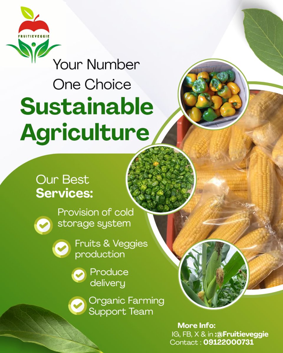 Fruitieveggie_'s tweet photo. At Fruitieveggie, we are about  Sustainable Agriculture through delivering fresh, healthy produce while preserving the earth for future generations 🌳🌍.
#Fruitieveggie
#SuistableAgriculture
#FreshProduce https://t.co/qvE8xVQHcW