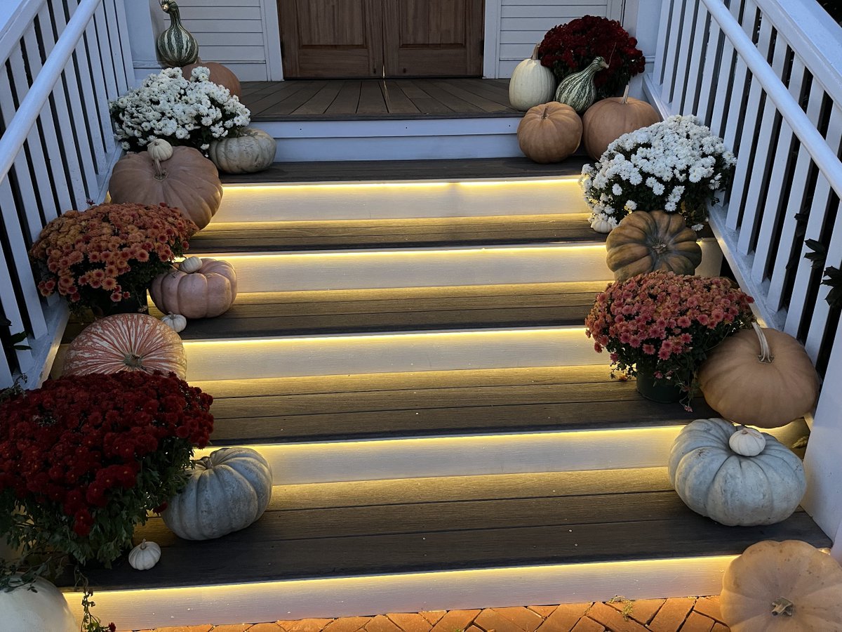 Fall tones coming to the Vineyard...