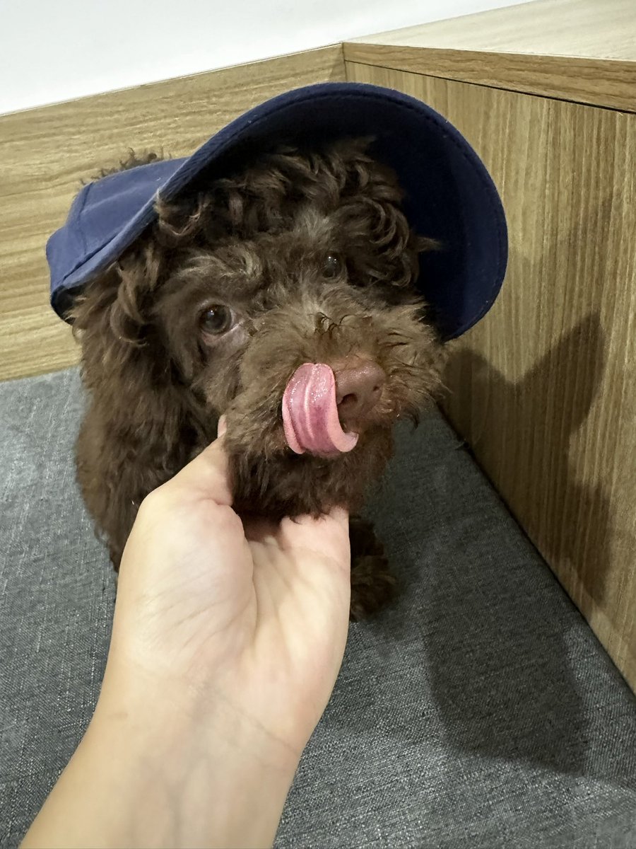 iamBilly's tweet photo. 👅 https://t.co/IG61myPLSL