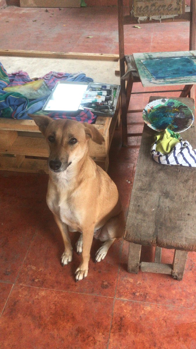 swayambhusoham's tweet photo. Some soothers during most distressful moment we #DogLovers ever felt in #India . Only #Art & #Dogs can heal this world & when both in a frame , itโs pure bliss ๐ป. This too shall pass โฆ& we will win ๐ช๐ช. #SupremeCourtofIndia #savedelhidogs2025 #straydogs #justiceforindiedogs https://t.co/8n9xT67Sn6