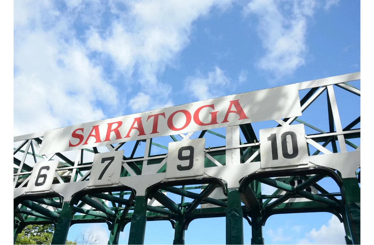 🐎 Some #saratoga track tidbits from the weekend: saratogadispatch.substack.com/p/the-corgi-cu… — including the corgi vid that will make you sob with joy. #horseracing