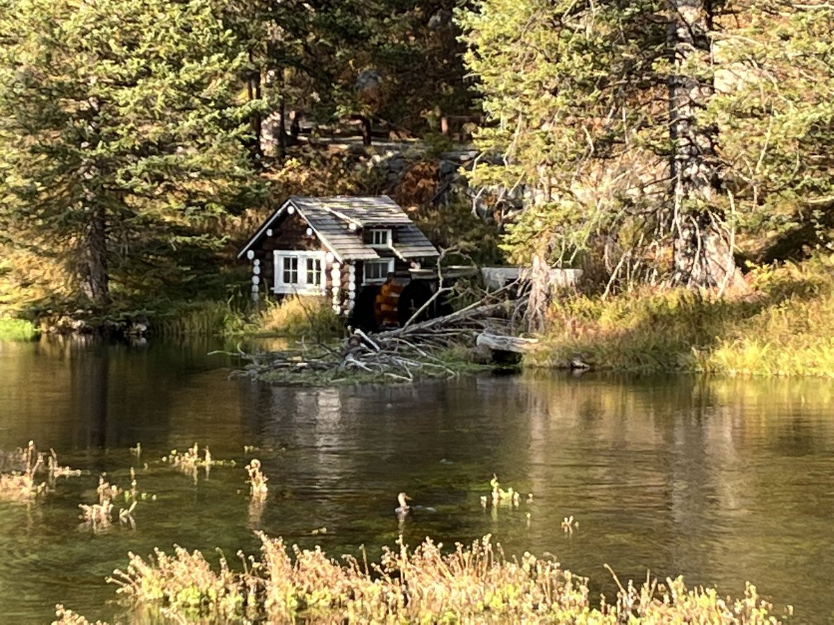 Sixto Porras tweet media