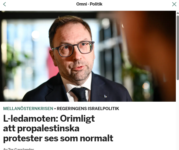 Tror att en majoritet av väljarna - inklusive de få återstående L-väljarna - snarare anser att högerns Israelpolitik är onormal.