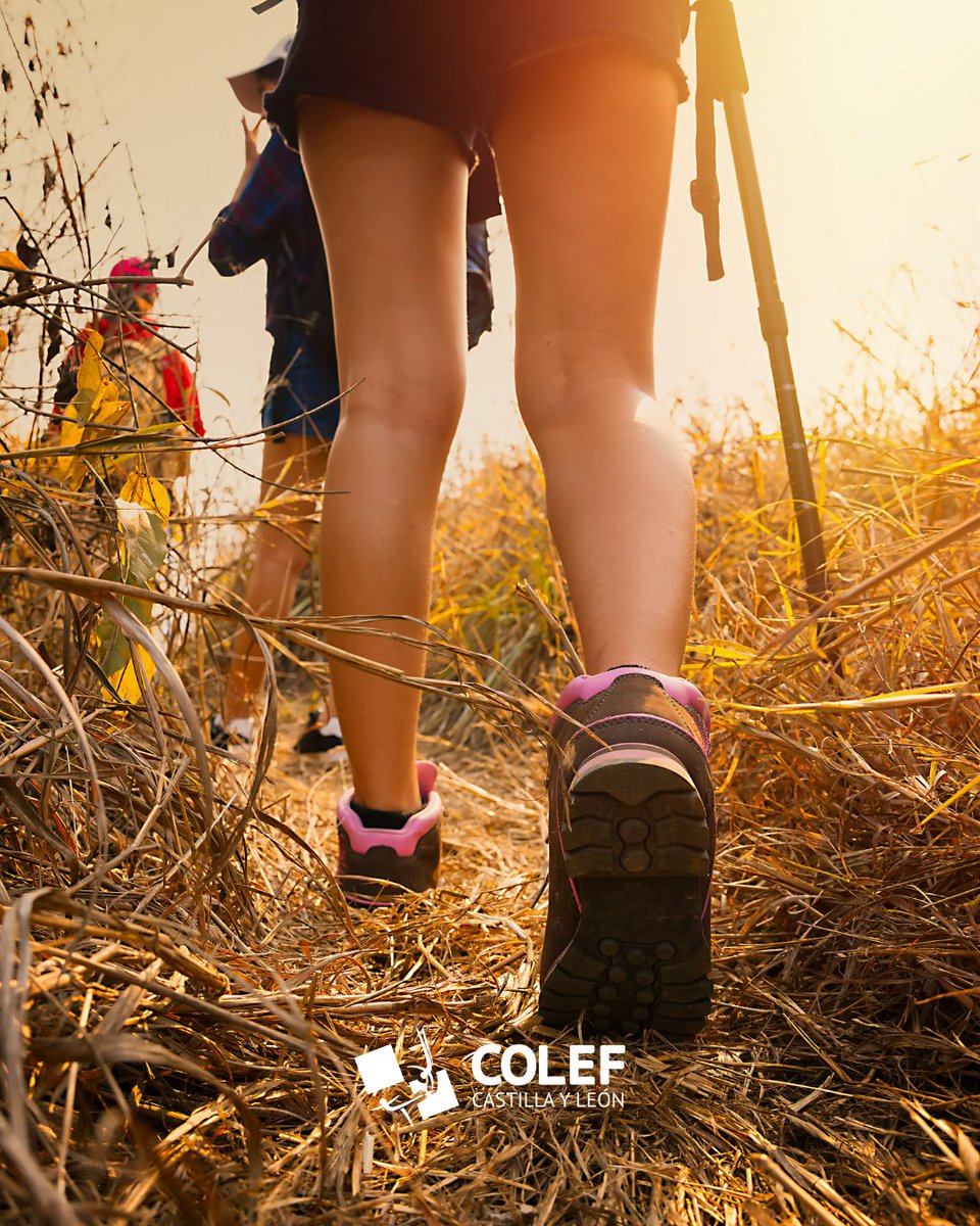 colefcyloficial's tweet photo. ☀️ Con buen tiempo, el cuerpo pide moverse… ¡y la naturaleza es el mejor escenario!

Menos estrés, más vitalidad, y una relación directa con el entorno que nos rodea.
Además, puedes realizar diversas actividades: Senderismo, ciclismo, running e incluso yoga. https://t.co/687zMKrtGq