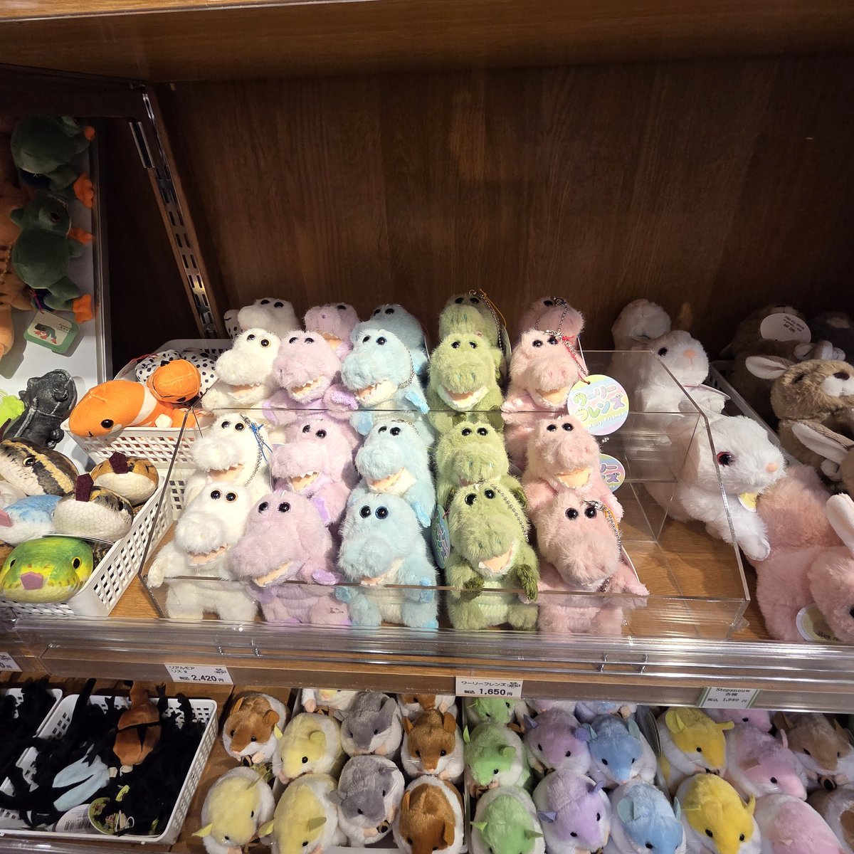 ぬいぐるみのテイクオフ【公式】 (@takeoff1987) / X