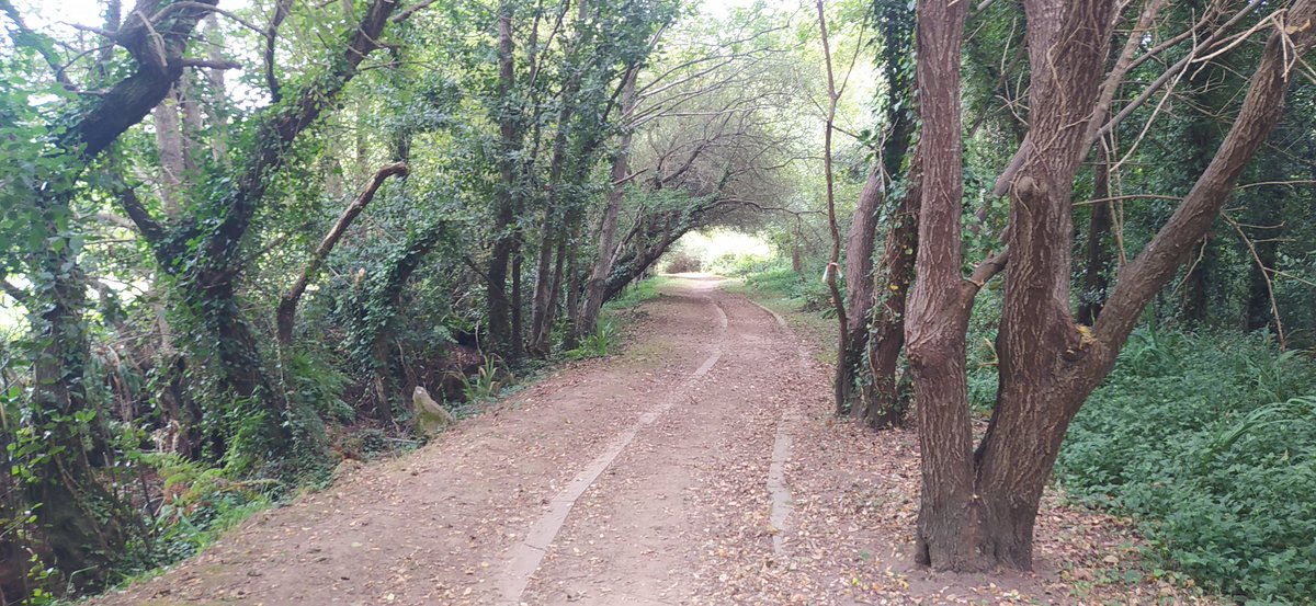 Capítulo LII de río,sendeiro,dolmen,e que mais queredes,miñocas. Sendeiro do río de Artes,Ribeira.<a href="/presumeDgalicia/">Presume de Morriña</a> <a href="/disfrutagalicia/">Disfruta de Galicia</a> <a href="/Turgalicia/">Turismo de Galicia</a> <a href="/GaliciaMaxica/">Galicia Máxica</a> <a href="/SESEIXA/">Seseixa</a> @turvegal <a href="/TurismoGalicia1/">TurismoGalicia1</a> <a href="/loves_galicia/">Loves_galicia 🛰️ #fainoengalego</a> <a href="/OrgulloGalegoGz/">OrgulloGalego</a> <a href="/paseargalicia/">PasearGalicia</a> <a href="/SecretGalicia/">Secret Galicia</a>