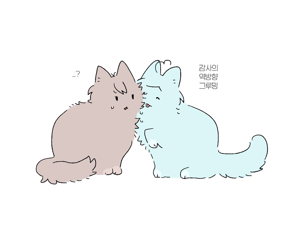 spin-spin.com/post/689b40748…

공유를 어떻게 하는 건지 모르겠네
아무튼 감사합니다
고양이를 드리겠습니다