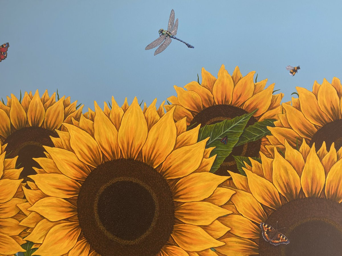 Sunflowers on a sunny day! #sunflowers #sunflower #sunnyday #langtongreen #tunbridgewells #tunbridgewellsbusiness #friendsofholmewood