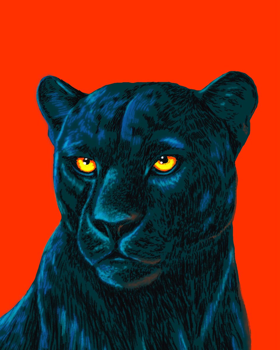 BLACK PUMA✨my new illustration now in <a href="/objktcom/">objkt</a> only 7ed. / 1.99tz / have you all a great #tezostuesday 
link below