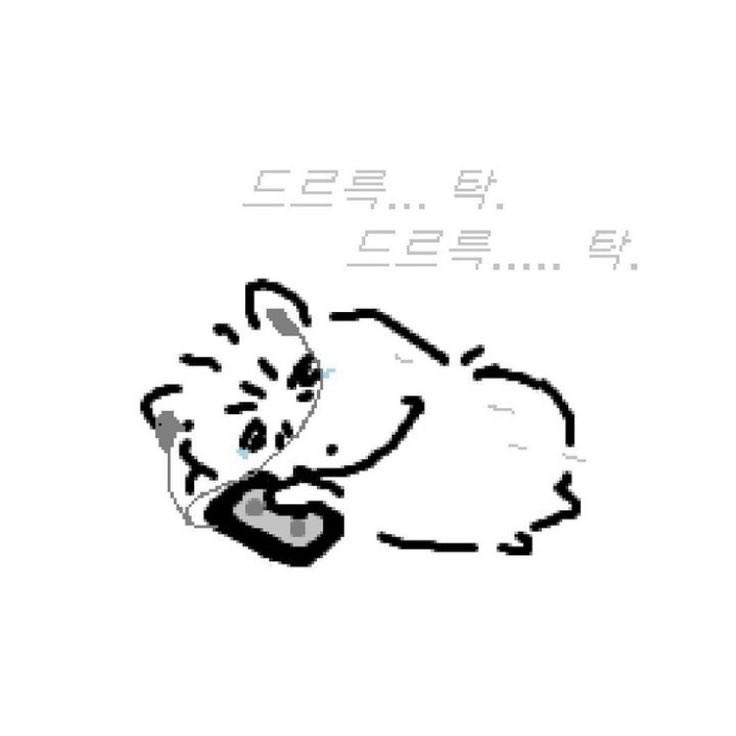 사클 지금 봤더요..