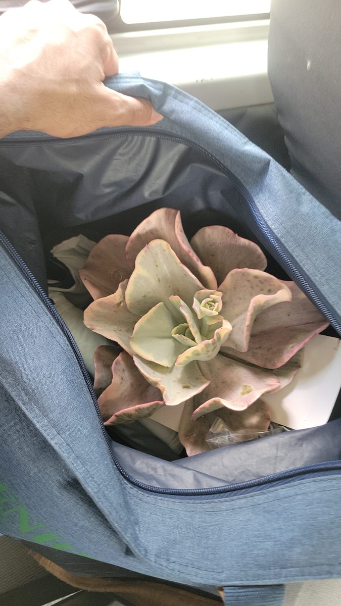 Regalito por parte de Luis, dice que le estorbaba, en mi casa no estorbara.