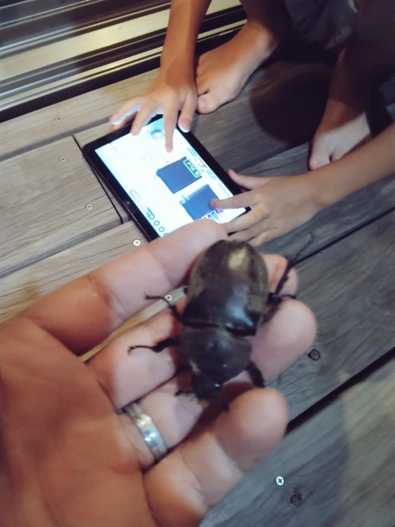 今日は鬼滅の映画みてきた
すごくよかった😆
疲れすぎたからカラオケやめたわ笑
今は親友ファミリーと飲み！
カブトムシ飛んできてマジビビったわww