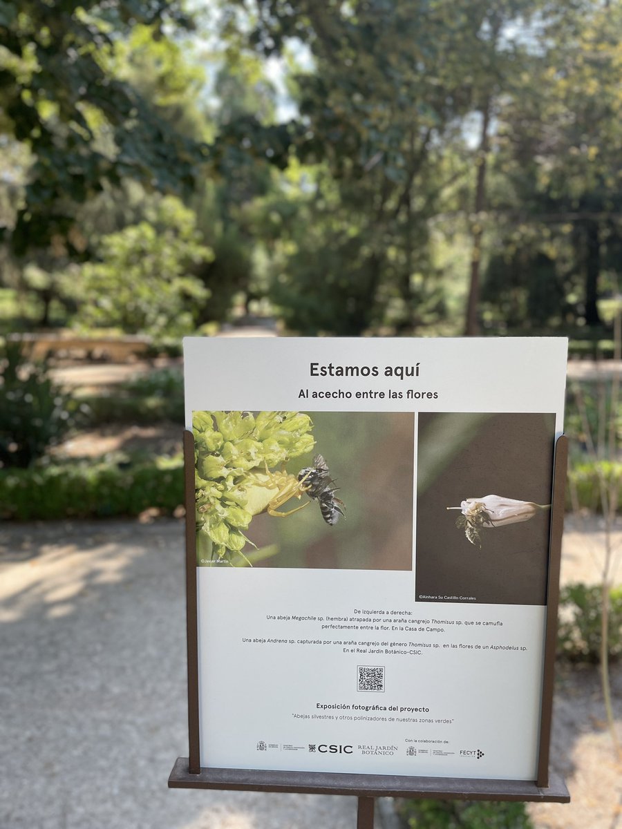 REAL JARDÍN BOTÁNICO tweet media